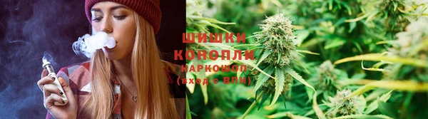 молекула духа Алзамай
