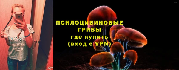 гашик Пестово