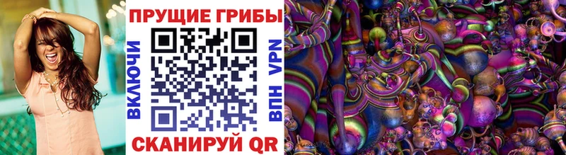 Галлюциногенные грибы Psilocybine cubensis  как найти   Артёмовский 